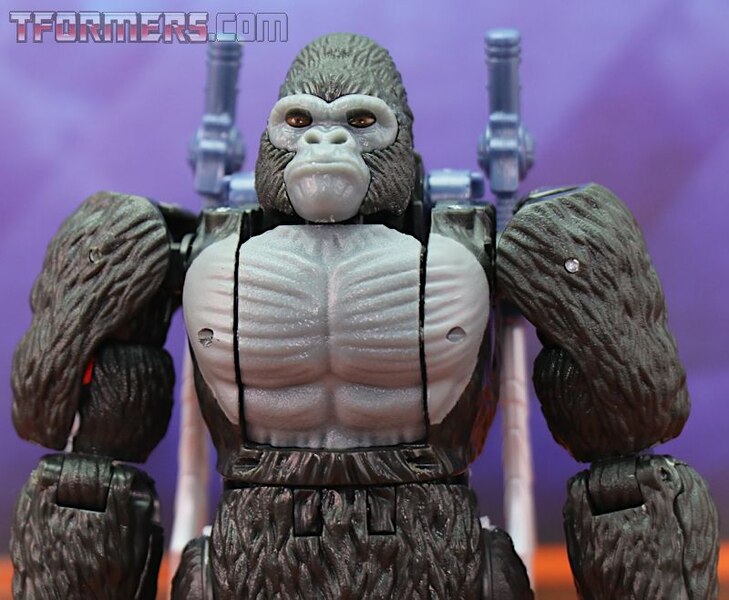 Transformers Kingdom Wave 1 Optimus Primal  (25 of 55)